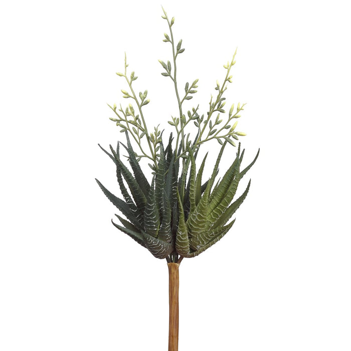 13" Blooming Agave Succulent Artificial Stem Pick -Green/Yellow (Pack of 12) - CA1311-GR/YE