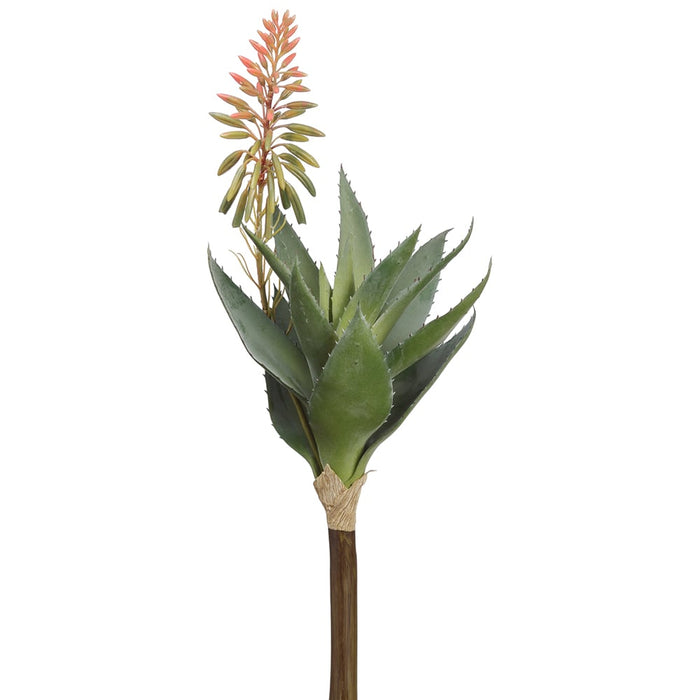 15" Blooming Agave Succulent Artificial Stem Pick -Pink/Green (Pack of 6) - CA1316-PK/GR