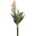 15" Blooming Agave Succulent Artificial Stem Pick -Pink/Green (Pack of 6) - CA1316-PK/GR