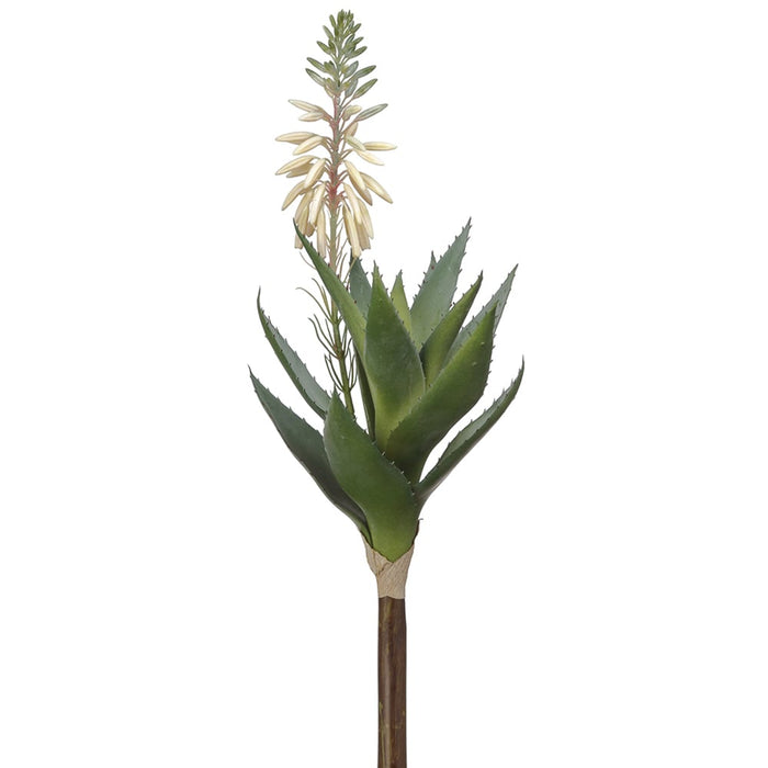 15" Blooming Agave Succulent Artificial Stem Pick -White/Green (Pack of 6) - CA1316-WH/GR