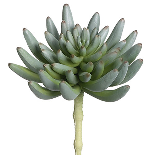 6"Hx3.5"W Real Touch Spike Aeonium Artificial Stem Pick -Green/Gray (Pack of 12) - CA1468-GR/GY