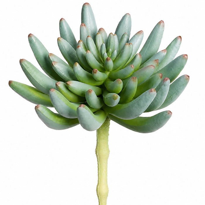 6"Hx3.5"W Real Touch Spike Aeonium Artificial Stem Pick -Green/Gray (Pack of 12) - CA1468-GR/GY