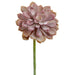 6" Real Touch Artificial Baby Aeonium Stem Pick -2 Tone Coral (pack of 12) - CA2195-CO/TT