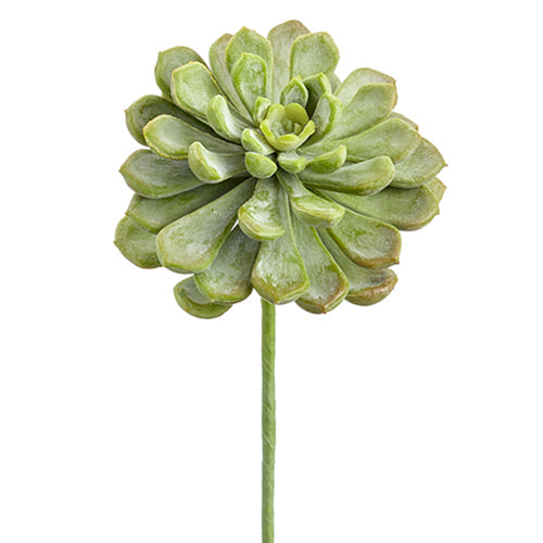 6" Real Touch Artificial Baby Aeonium Stem Pick -Frosted Green (pack of 12) - CA2195-GR/FS