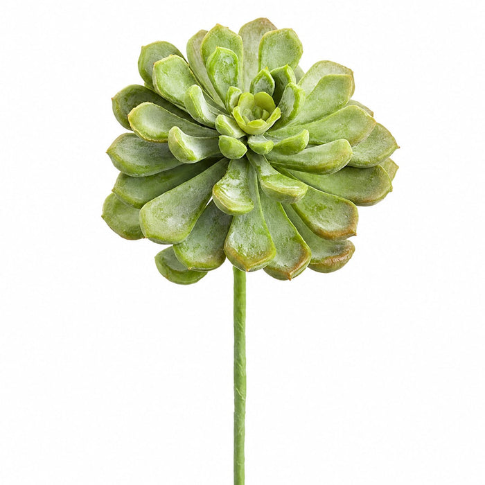 6" Real Touch Artificial Baby Aeonium Stem Pick -Frosted Green (Pack of 12) - CA2195-GR/FS