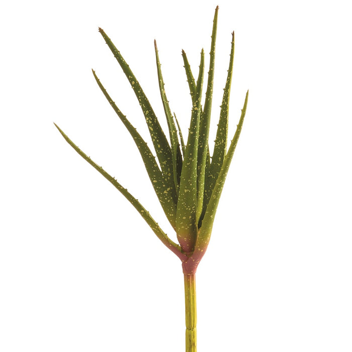 12" Real Touch Artificial Aloe Stem Pick -Green (pack of 12) - CA2458-GR