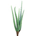 21" Agave Succulent Artificial Stem -Green (pack of 6) - CA4029-GR