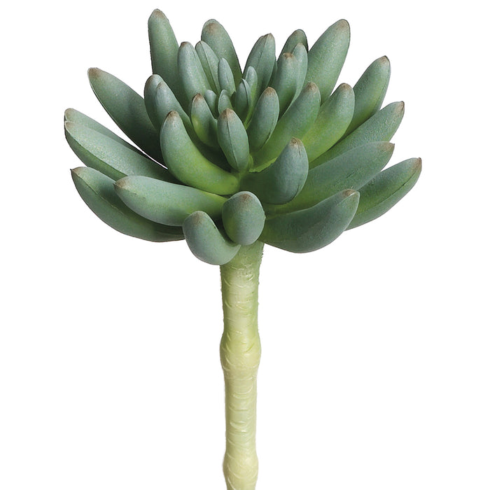 6.25" Real Touch Spike Aeonium Artificial Stem Pick -Green/Gray (Pack of 24) - CA4608-GR/GY