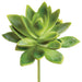 5" Real Touch Mini Artificial Agave Stem Pick -2 Tone Green (pack of 12) - CA5107-GR/TT