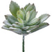 3" Baby Agave Artificial Stem Pick -Green (pack of 24) - CA8017-GR