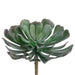 6" Aeonium Artificial Stem -Green/Gray (pack of 12) - CA9307-GR/GY