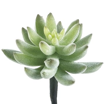 4"Hx4"W Mini Agave Cactus Artificial Stem Pick -Flocked/Green (pack of 24) - CA9363-GR/FK