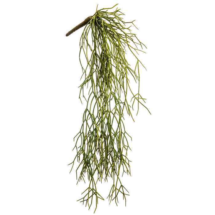 artificial pencil cactus 24" Hanging Artificial Pencil Cactus Plant -Green (Pack of 12)