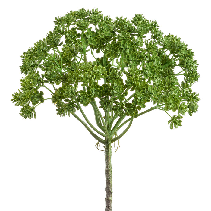 12.5" Artificial Sedum Succulent Plant -Green (pack of 24) - CBS363-GR