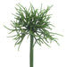 9" Real Touch Pencil Cactus Artificial Stem Pick -Green (pack of 12) - CC0009-GR