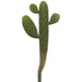 14.5" Artificial Prickly Pear Cactus Stem Pick -Green (Pack of 12) - CC0315-GR