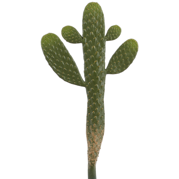 19" Artificial Prickly Pear Cactus Stem Pick -Green (Pack of 12) - CC0317-GR