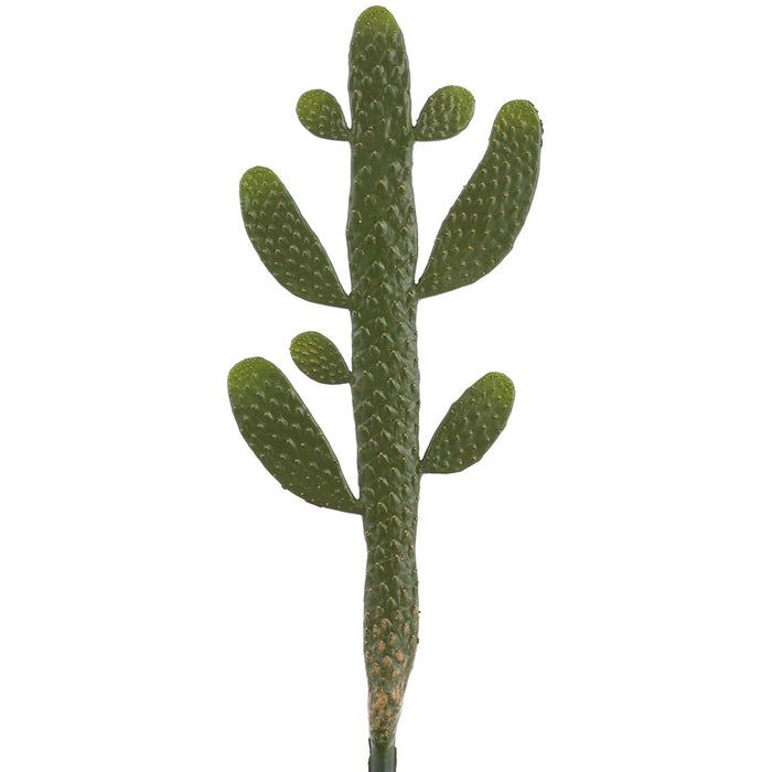 28" Artificial Prickly Pear Cactus Stem Pick -Green (Pack of 6) - CC0319-GR