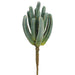 9" Mini Column Cactus Artificial Stem Pick -Green (Pack of 12) - CC2120-GR
