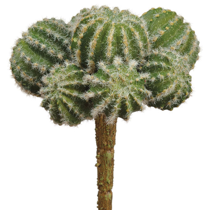 5.5" Barrel Cactus Artificial Stem Pick -Green (Pack of 12) - CC2152-GR