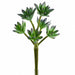 11" Plastic Sedum Artificial Stem -Frosted Green (Pack of 24) - CC2490-GR/FS