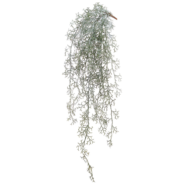 pencil cactus hanging 39" Hanging Pencil Cactus Succulent Artificial Stem -Green/Gray (Pack of 12)