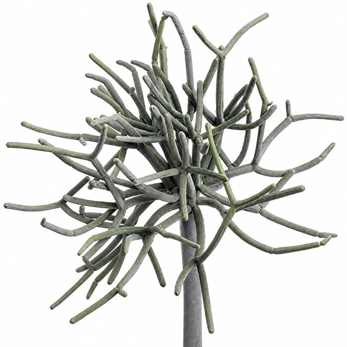 8" Real Touch Pencil Cactus Artificial Stem Pick -Green/Gray (Pack of 12) - CC7334-GR/GY