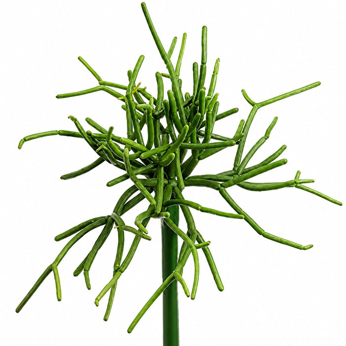8" Real Touch Pencil Cactus Artificial Stem Pick -Green (Pack of 12) - CC7334-GR