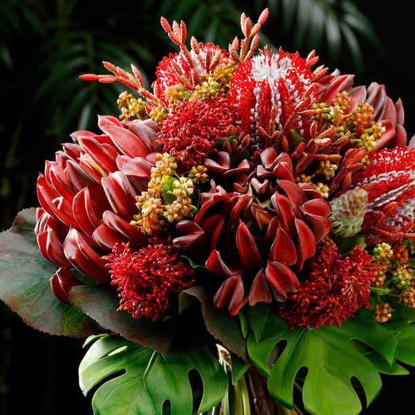 artificial pencil cactus 13" Artificial Pencil Cactus Stem Pick -Red (Pack of 12)