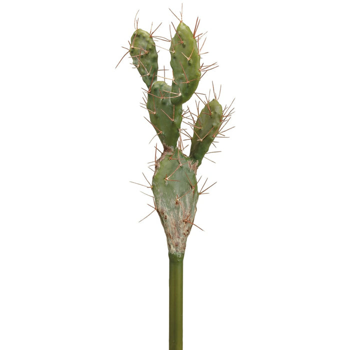 21.5" Artificial Bunny Ear Cactus Stem Pick -Green (pack of 6) - CC8785-GR