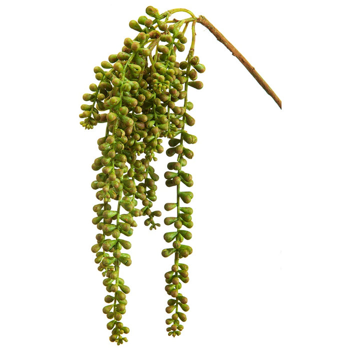 19" Hanging Real Touch Artificial Donkey Tail Stem Pick -Green/Rust (pack of 12) - CD0102-GR/RU