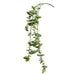 24" Hanging Real Touch Artificial Dischidia Ant Plant Stem -Green (pack of 12) - CD0215-GR