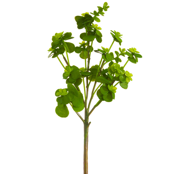 13" Real Touch Artificial Dischidia Ant Plant Stem Pick -Green (pack of 12) - CD4013-GR