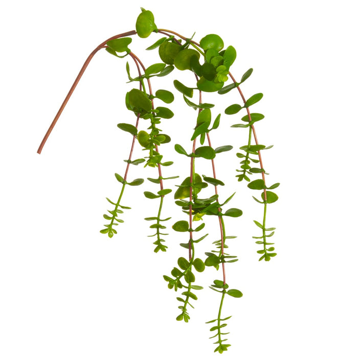 20" Hanging Real Touch Artificial Dischidia Ant Plant Stem -Green (pack of 12) - CD4020-GR