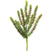 13" Real Touch Artificial Donkey Tail Succulent Stem Pick -Green/Burgundy (pack of 6) - CD8927-GR/BU
