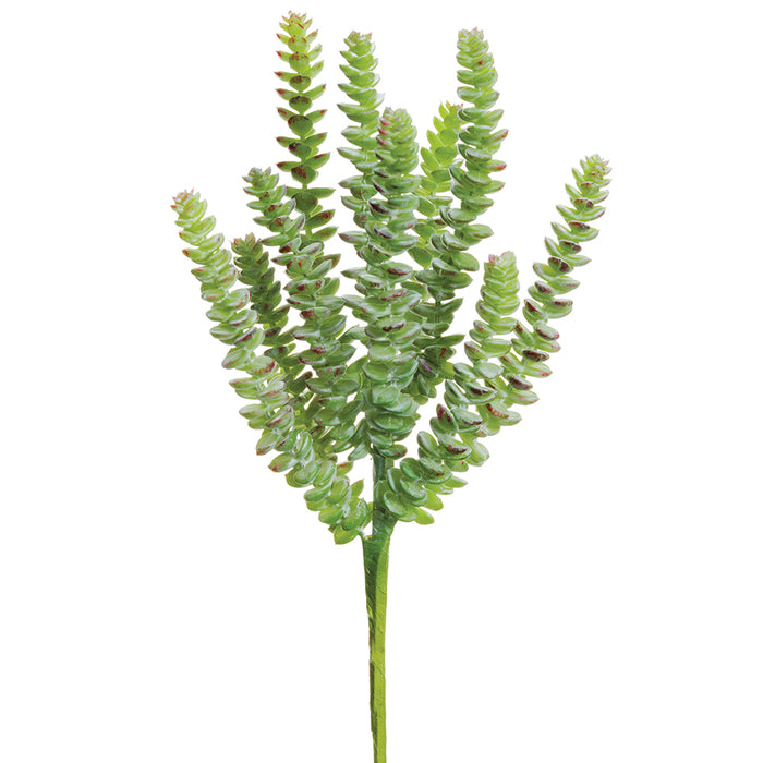 artificial donkey tail succulent 13" Real Touch Artificial Donkey Tail Succulent Stem Pick -Green/Gray (Pack of 6)