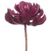 7"Hx5"W Artificial Echeveria Stem Pick -Burgundy (Pack of 12) - CE0006-BU