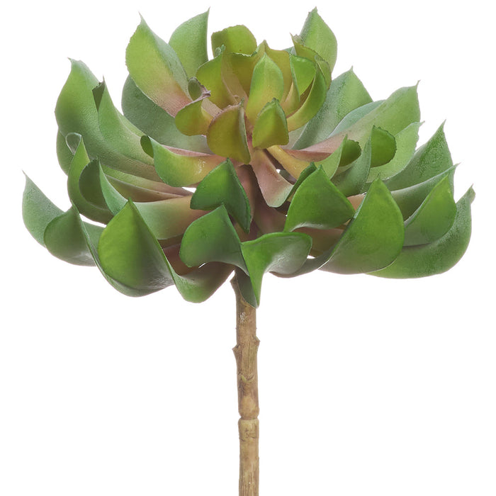 7"Hx5"W Artificial Echeveria Stem Pick -Green/Burgundy (Pack of 12) - CE0006-GR/BU