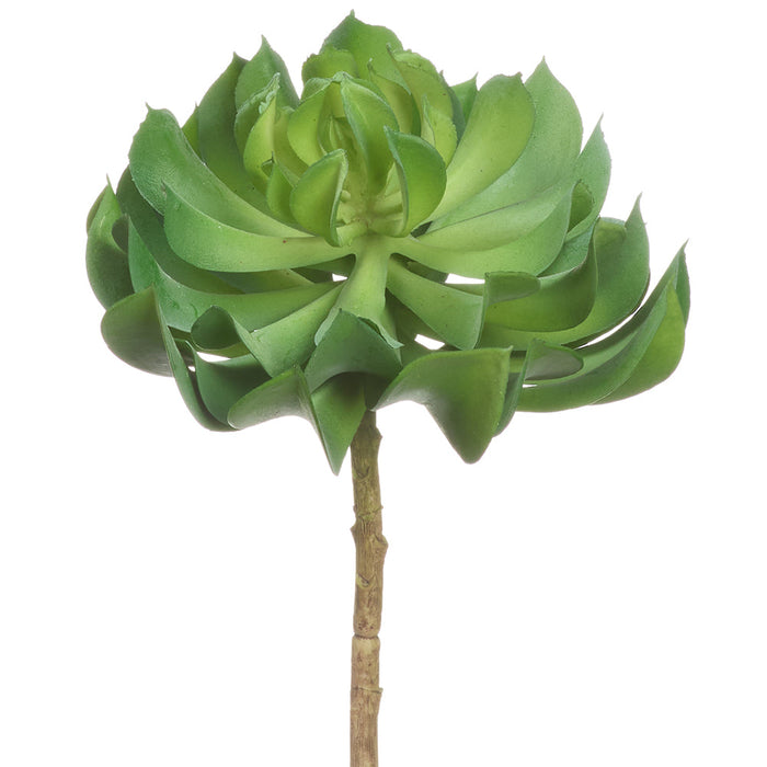 7"Hx5"W Artificial Echeveria Stem Pick -Green (Pack of 12) - CE0006-GR
