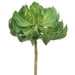 7"Hx5"W Artificial Echeveria Stem Pick -Green (Pack of 12) - CE0006-GR