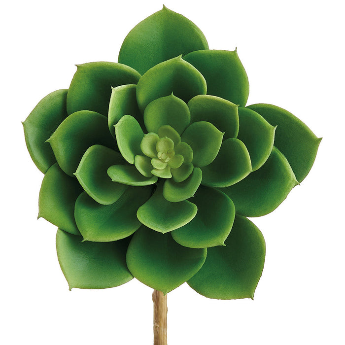 5.5"Hx4.5"W Outdoor UV-Resistant Artificial Echeveria Stem Pick -Green (Pack of 12) - CE0062-GR