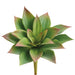 6"Hx4"W Outdoor UV-Resistant Artificial Echeveria Stem Pick -Green/Mauve (Pack of 24) - CE0063-GR/MV