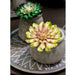 6" Real Touch Artificial Echeveria Stem Pick -Green/White (pack of 12) - CE0122-GR/WH