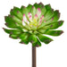 6" Real Touch Artificial Echeveria Stem Pick -Green/White (pack of 12) - CE0122-GR/WH