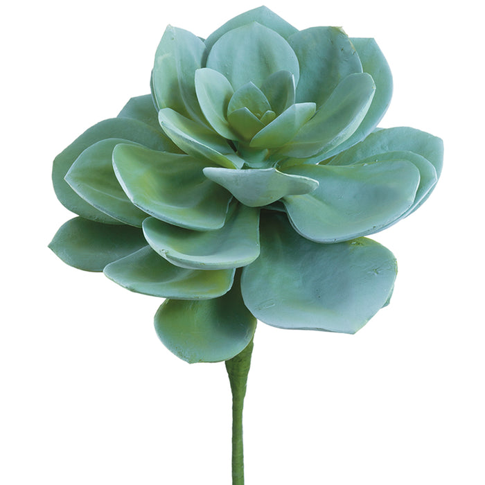 15"Hx10"W Soft-Touch Echeveria Artificial Stem Pick -Green/Gray (Pack of 6) - CE0132-GR/GY