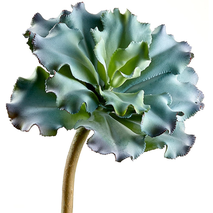 10" Artificial Ruffled Echeveria Stem Pick -Green/Burgundy (pack of 6) - CE1130-GR/BU
