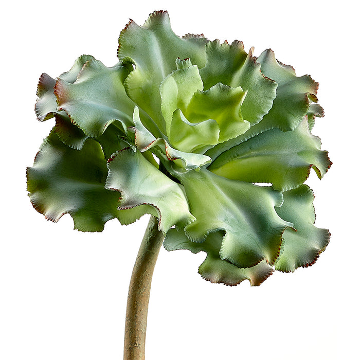 10" Artificial Ruffled Echeveria Stem Pick -Green/Gray (pack of 6) - CE1130-GR/GY