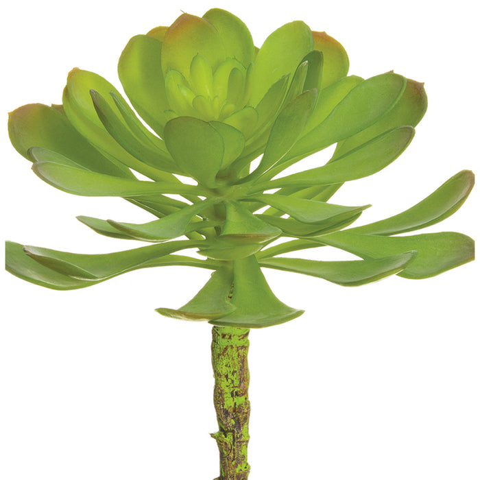 6"Hx5"W Soft Artificial Aeonium Stem Pick -Green/Gray (pack of 12) - CE1900-GR/GY