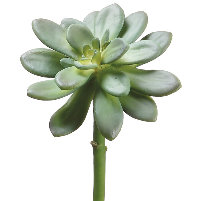 artificial echeveria succulent 10" Echeveria Artificial Stem Pick -Green