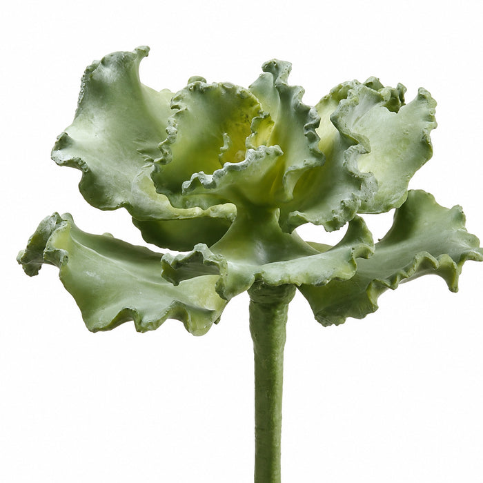 9" Real Touch Curly Echeveria Artificial Stem -Green (Pack of 12) - CE2159-GR